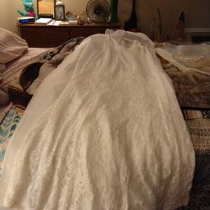 Wedding dress and viel